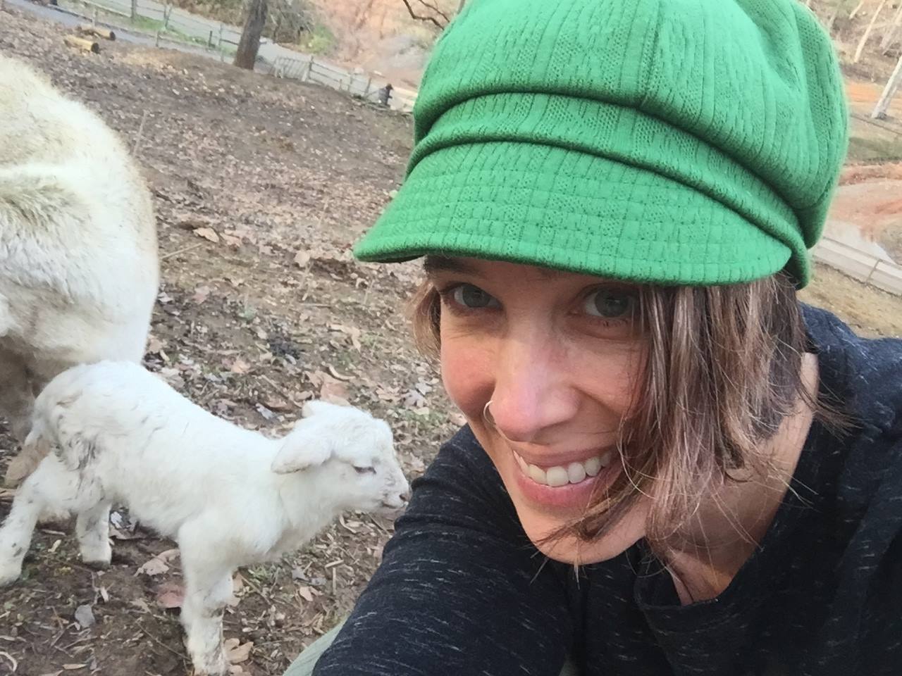 17887267_1805108379808263_353351781_o